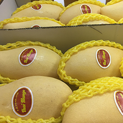 タイのマンゴー