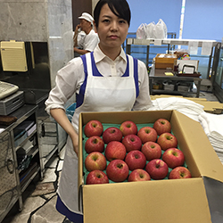 青森のリンゴ