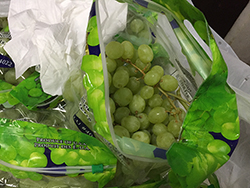 グリーンシードレス