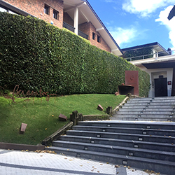 サンセバスチャン