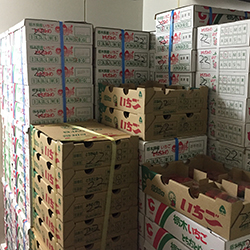 イチゴ、タップリと