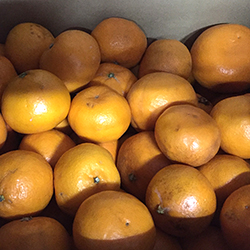 �|���J��