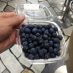 �u���[�x���[