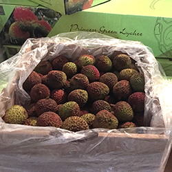 �����C�`