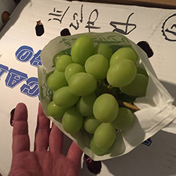 �V���C���}�X�J�b�g