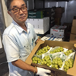 �V���C���}�X�J�b�g