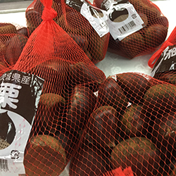 ��錧�Y����