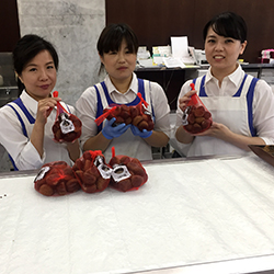 ��錧�Y����