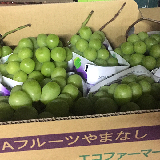 �R�����Y�V���C���}�X�J�b�g