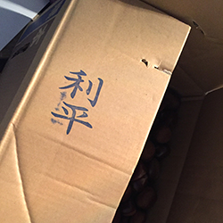 �����N��