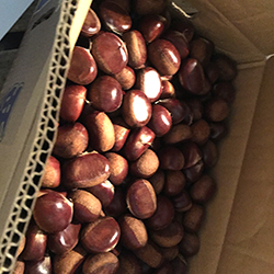 �����N��