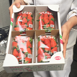 ���n���̃C�`�S