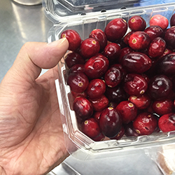 �N�����x���[