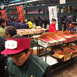 �����S�̃Z����