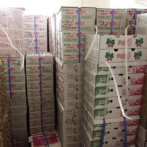 �N���X�}�X�p�̃C�`�S