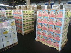 �׉��낵���ꂽ�΂���̉ʕ�