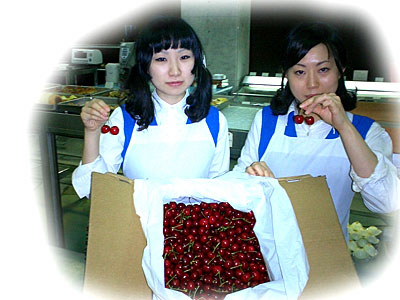 �T�N�����{