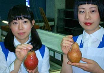 ���b�h�o�[�g���b�h