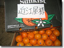 �I�����W