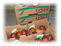 �������[�X