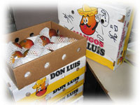 ���L�V�R�}���S�[