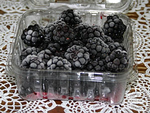 �N�����_���W��