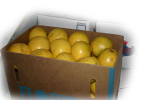 �O���[�v�t���[�c