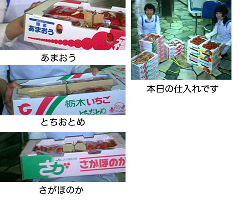 ���n���C�`�S