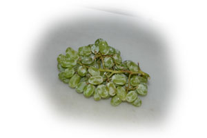 �`���Y�X�^���V���v�\��