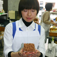 �A�[�����h�`���R