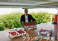 �t�����{���[�Y��