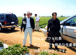 �E�F���s�N�g�В�