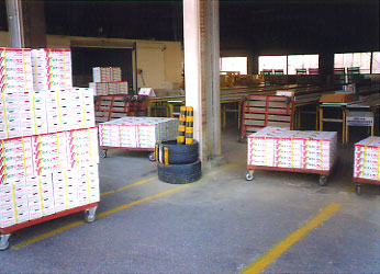 �Ȗ؂̃C�`�S��