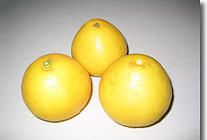 �����Ȃ�