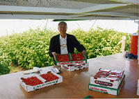 ���g�\���r��