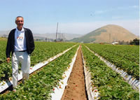 �C�`�S���Ǝ�