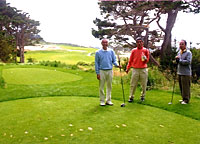 �C�`�S���Ǝ�