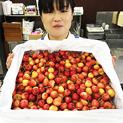 �T�N�����{