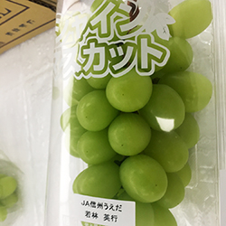 �ō����V���C���}�X�J�b�g