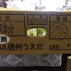 �ō����V���C���}�X�J�b�g