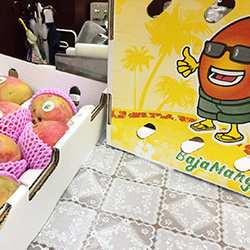 ���L�}��