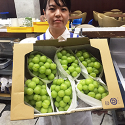 ���˃W���C�A���c