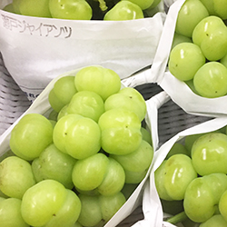 ���˃W���C�A���c