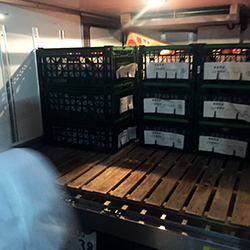 �T������