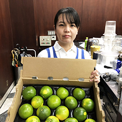 �J�N�e���O���[�v