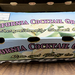 �O���[�v�t���[�c